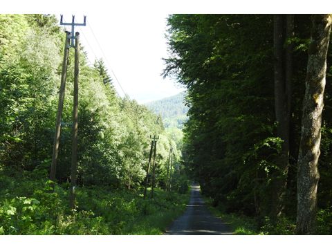 Foto 42